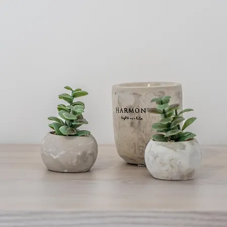 Chic Downtown Hideaway Lägenhet